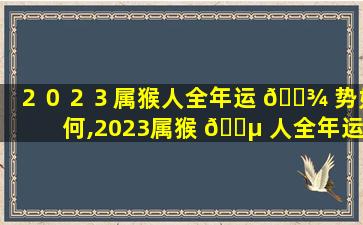 ２０２３属猴人全年运 🌾 势如何,2023属猴 🐵 人全年运势如何1980